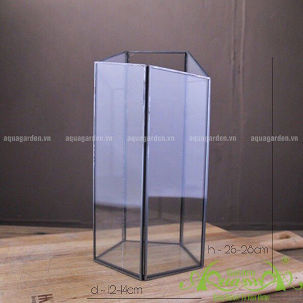 NGŨ GIÁC ỐNG MIỆNG XÉO   THỦY TINH ĐA GIÁC AQUAGARDEN