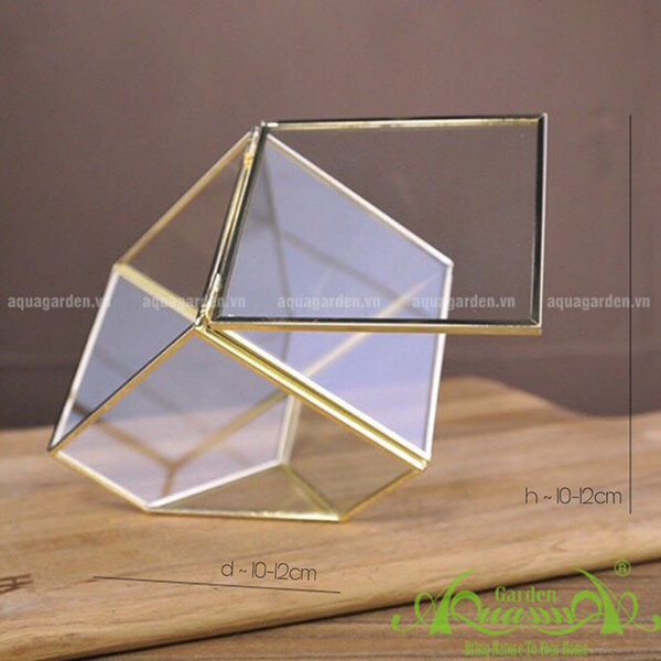 VUÔNG NẮP GOLD - THỦY TINH ĐA GIÁC AQUAGARDEN