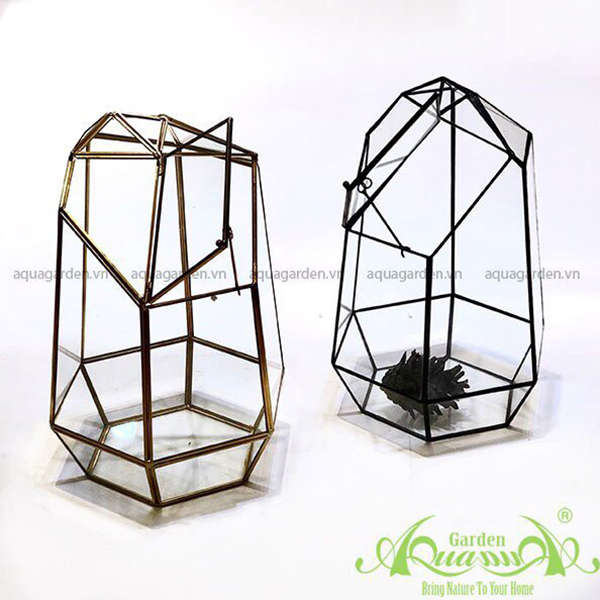 LỤC GIÁC NẤP ĐẠI THỦY TINH ĐA GIÁC AQUAGARDEN