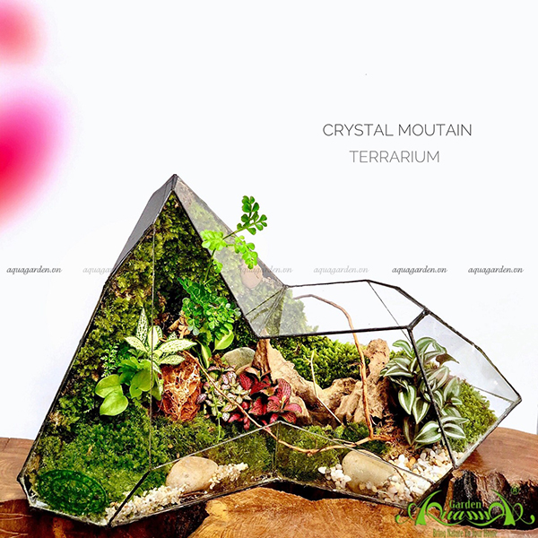 Terrarium - Crystal Mountain