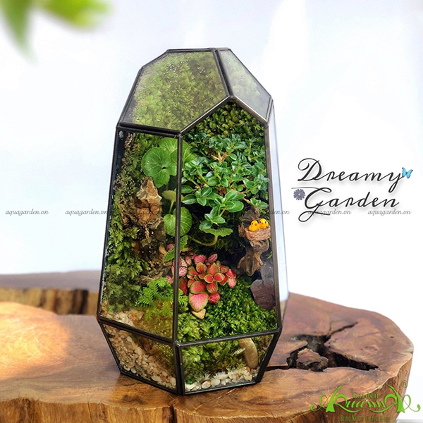 Terrarium 09 - Dreamy Garden