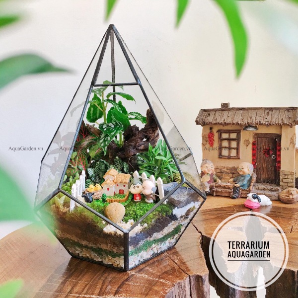 Terrarium AquaGarden - Khu Vườn Hạnh Phúc.