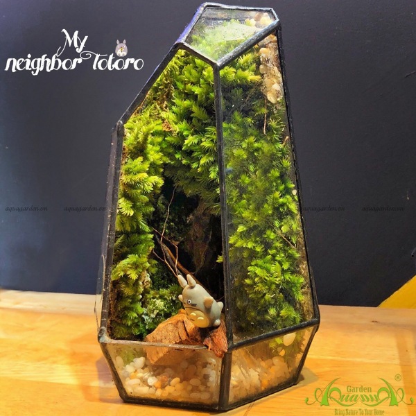 Terrarium AquaGarden  - My Neighbor Totoro.