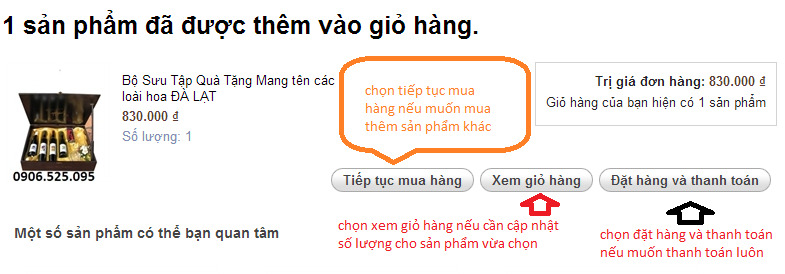 Hướng dẫn thêm sản phẩm vào giỏ hàng