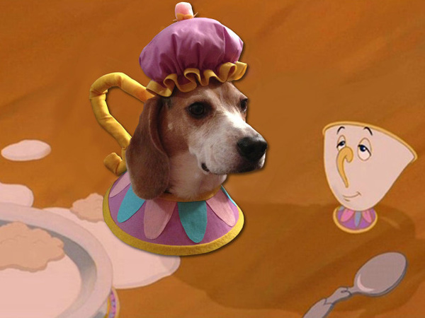 Bộ hình photoshop chó cưng thành nhân vật hoạt hình Disney gây sốt