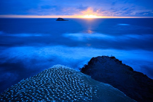 Sức mạnh của đường nét trong bố cục nhiếp ảnh