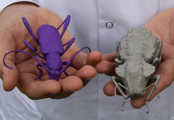 Tạo mô hình côn trùng “khổng lồ” phục vụ nghiên cứu khoa học từ máy in 3D