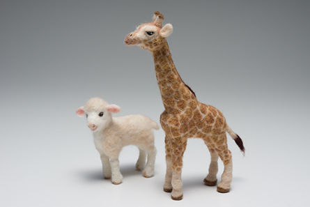 Tìm hiểu về ánh sáng và hiệu ứng ánh sáng