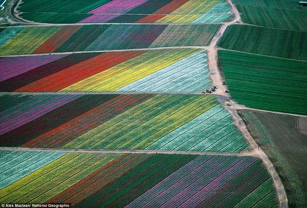 Những khung cảnh ấn tượng trong bộ ảnh của National Geographic