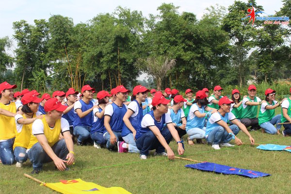 Kinh nghiệm tổ chức du lịch team building thành công