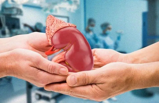 Nguyên nhân gây suy thận là gì? Đối tượng nào dễ mắc bệnh suy thận?