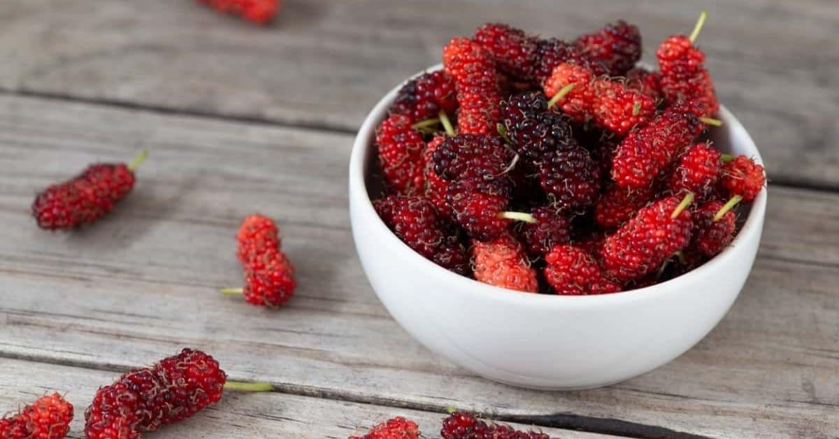 Gợi ý 10 loại trái cây giúp cải thiện tình trạng mất ngủ hiệu quả.