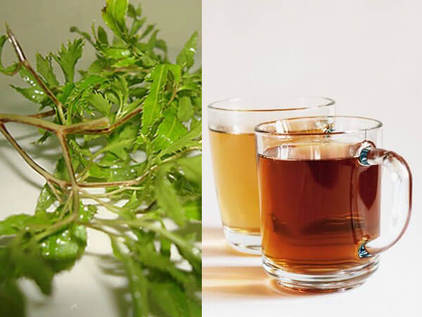 Liệu lá đinh lăng có cải thiện được tình trạng mất ngủ? Tìm hiểu ngay để biết.