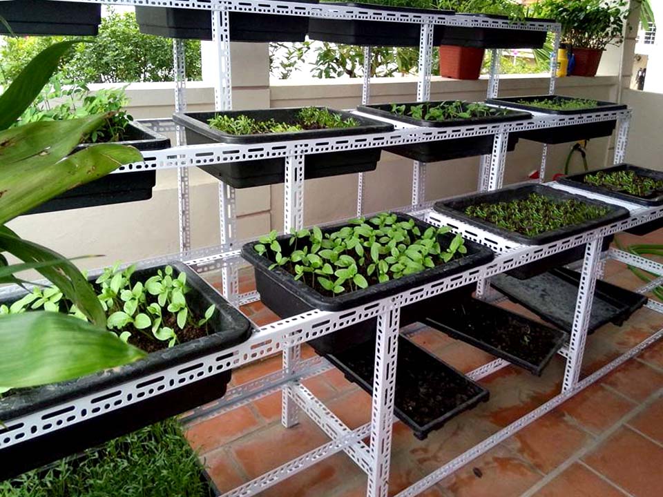 Cách làm giàn trồng rau sạch tại nhà
