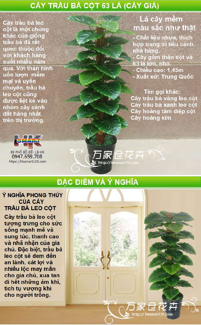 CÂY TRẦU BÀ CỘT 63 LÁ (CÂY GIẢ)