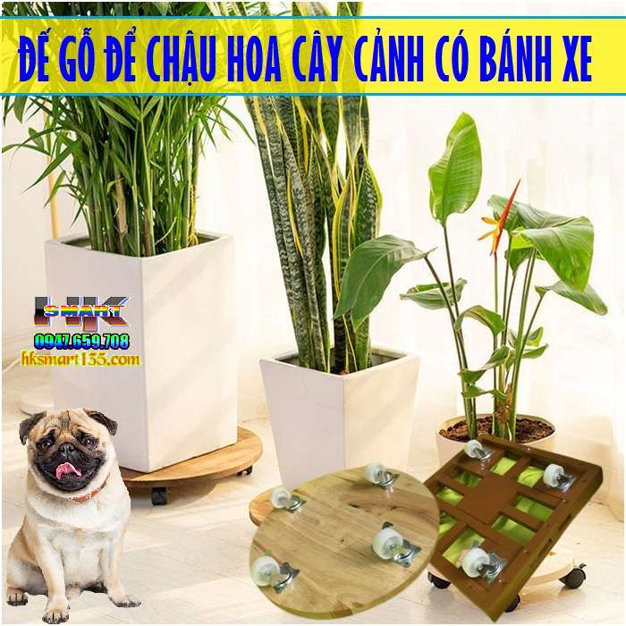 Đế Gỗ Để Chậu Cây Có bánh Xe Di Chuyển