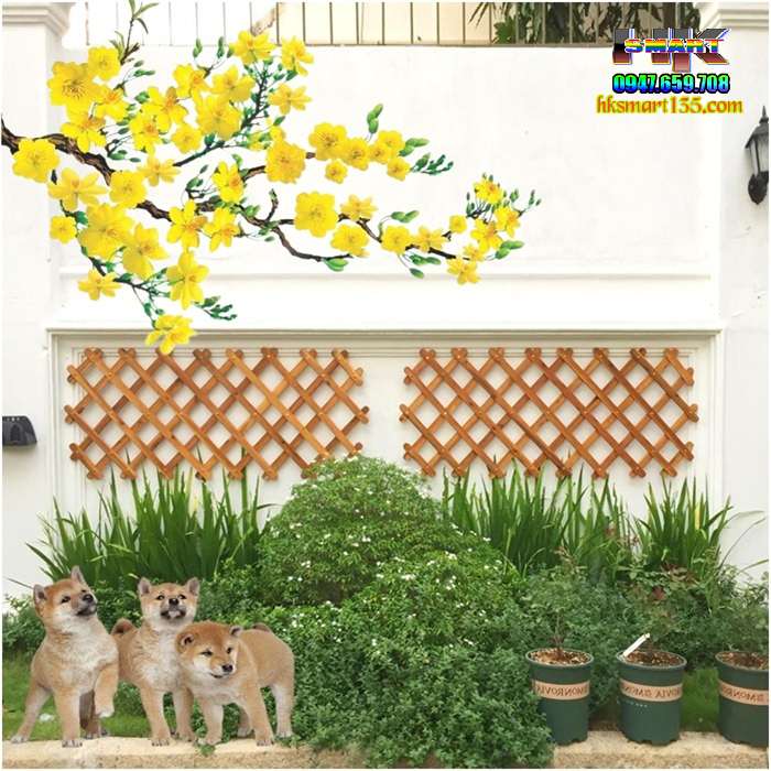 Giàn gỗ treo tường trang trí ban công