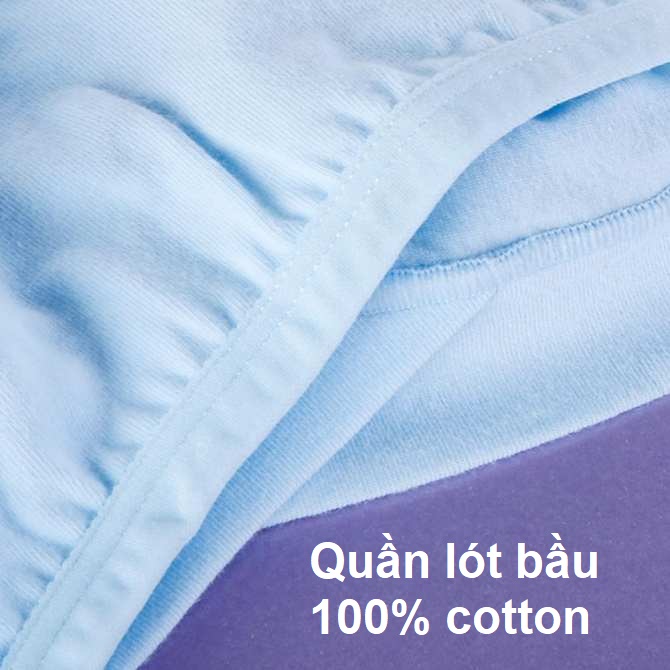 Quần lót bầu 100% cotton