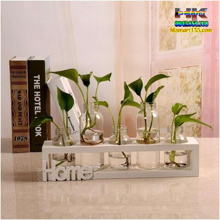 Set 5 lọ thủy tinh cắm hoa kèm kệ gỗ Home