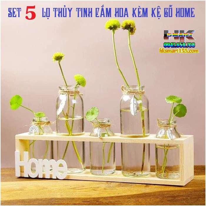 Set 5 lọ thủy tinh cắm hoa kèm kệ gỗ Home