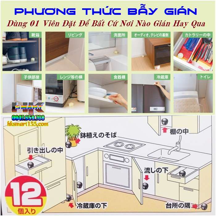 Hộp thuốc diệt gián Nhật Bản 12 viên