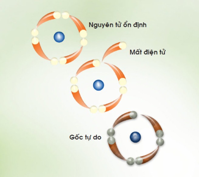 Gốc tự do