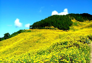 Du lịch Miền Bắc, Trung, Nam: Các tour du lịch khởi hành từ Cao Bằng
