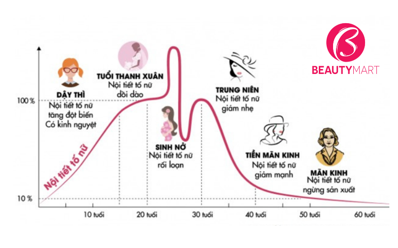 Các giai đoạn nội tiết của nữ giới