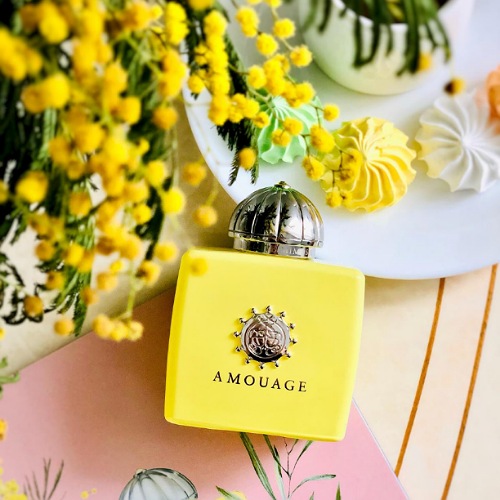 Amouage Love Mimosa mô tả chân thực hương thơm của một đoá hoa mimosa