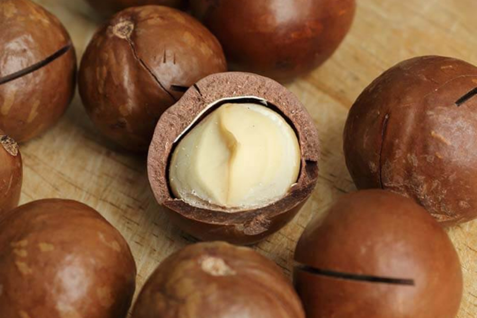 công dụng của hạt macca