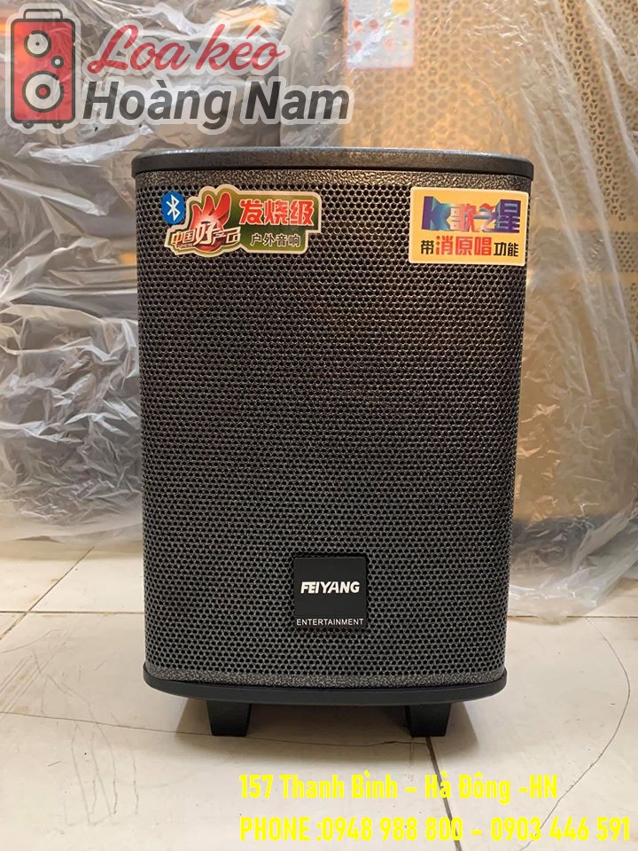 Loa kéo Feiyang QX08-62