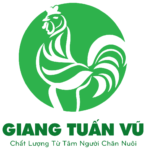 http://gadongtao.net