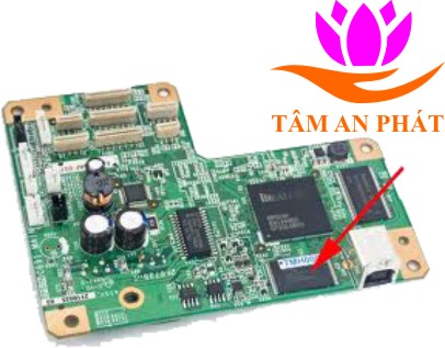 Main máy in Epson T50