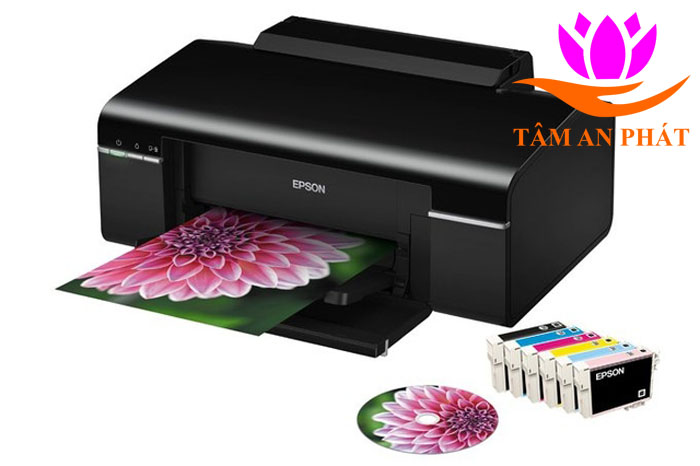 Mực in Pigment UV Trung Quốc chai 100ml