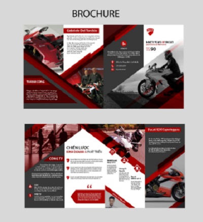 In brochure nhanh gọn, rẻ đẹp - miễn phí thiết kế