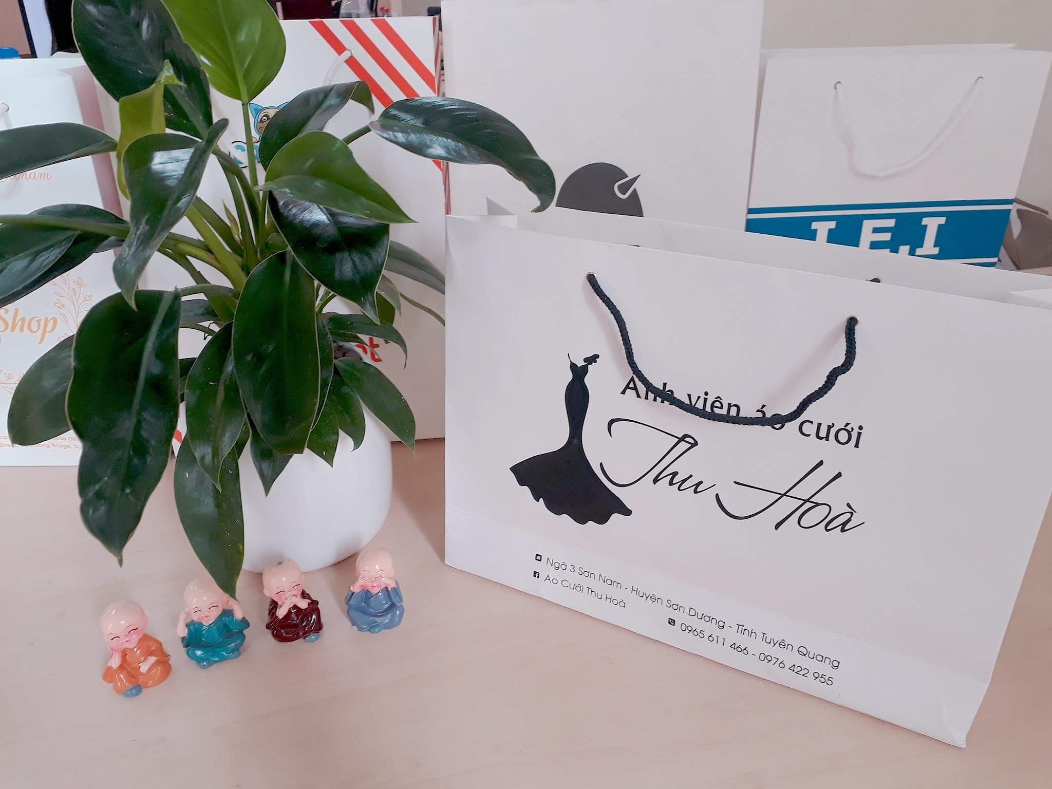 Túi giấy viện áo cưới