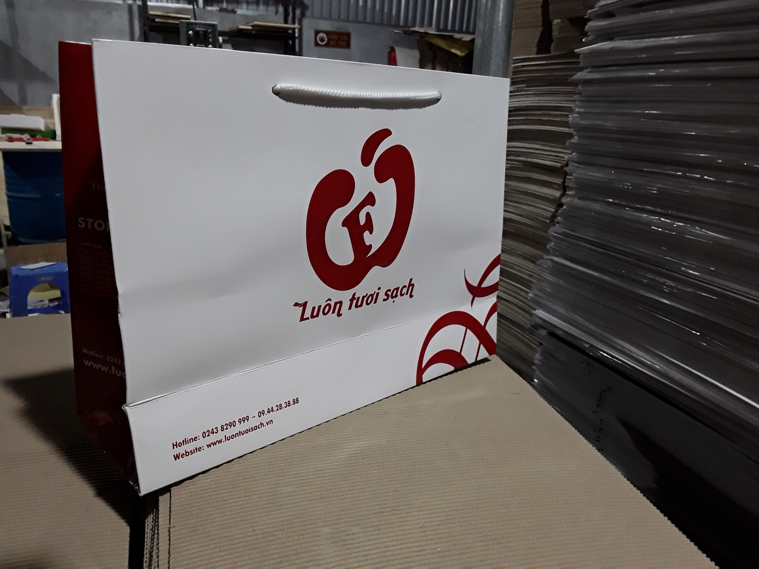 Túi đựng giỏ hoa quả đẹp