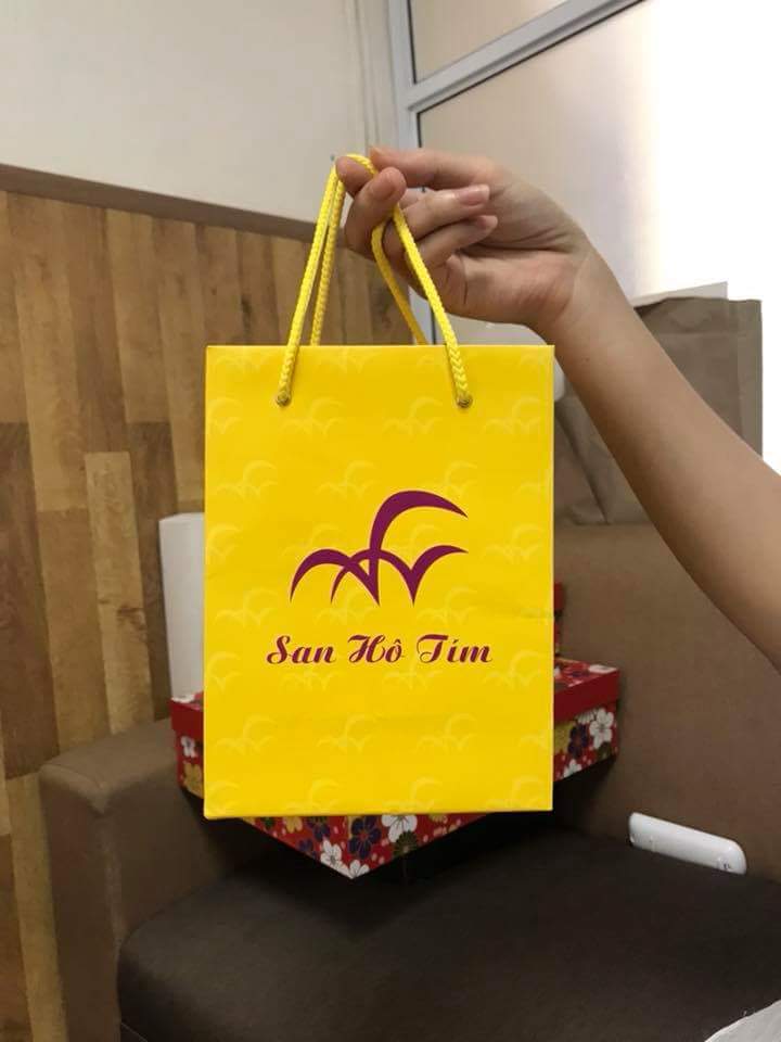 Túi giấy dược phẩm đẹp