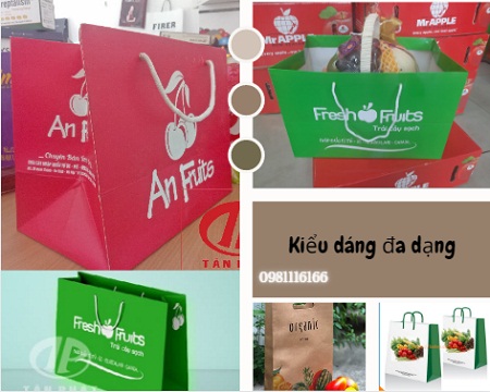 tui-giay-dung-hoa-qua