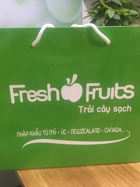 tui-giay-dung-hoa-qua-ban-san