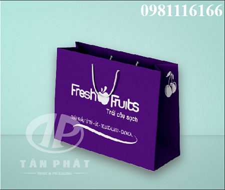 tui-giay-dung-hoa-qua-ban-san