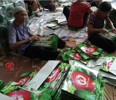 LỰA CHỌN TÚI GIẤY ĐỰNG TRÁI CÂY, TÚI GIẤY ĐỰNG HOA QUẢ