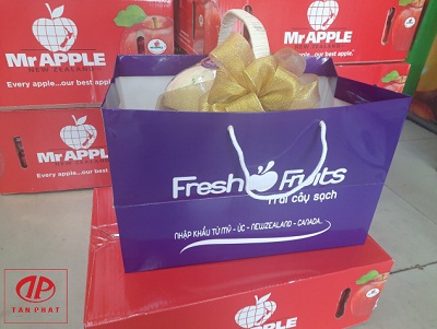 Túi đựng giỏ trái cây