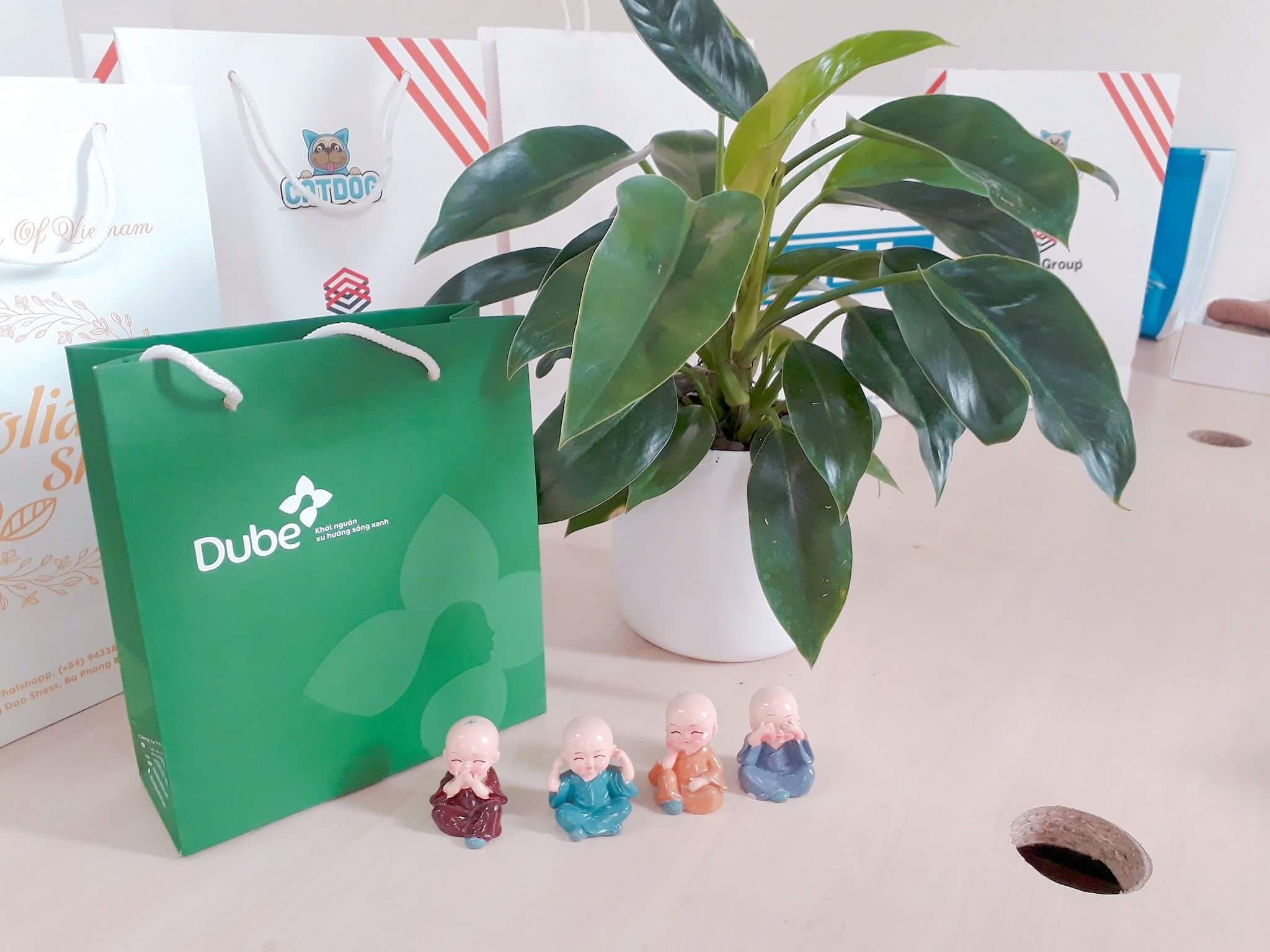 Túi giấy sự kiện