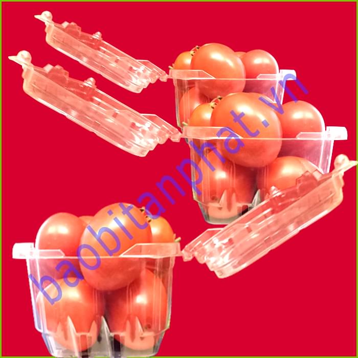Hộp nhựa trong đựng rau củ quả 1kg
