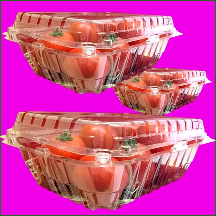 Hộp nhựa đựng trái cây 2015