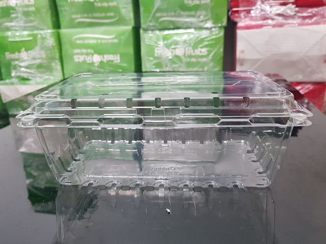 Hộp đựng trái cây P1000A đựng 1.2 - 1.5kg
