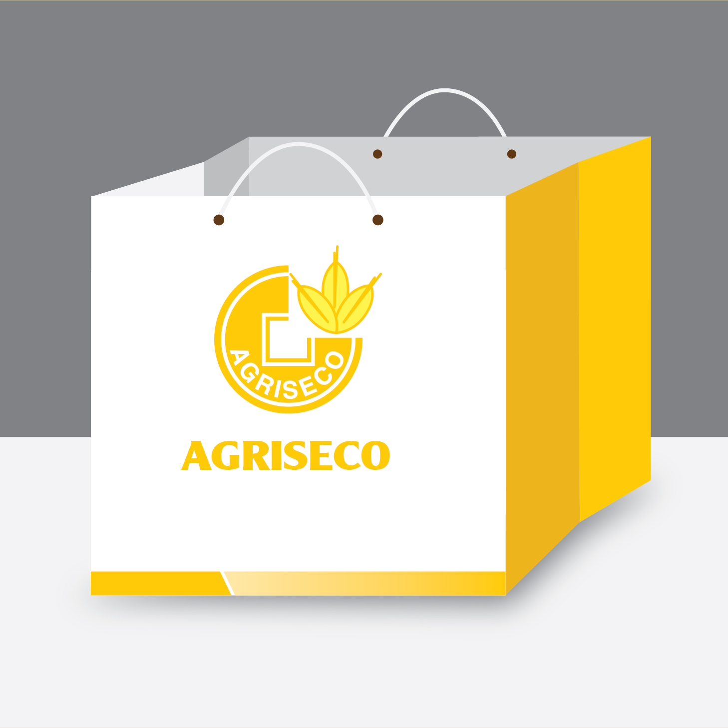 Túi giấy ivory đẹp