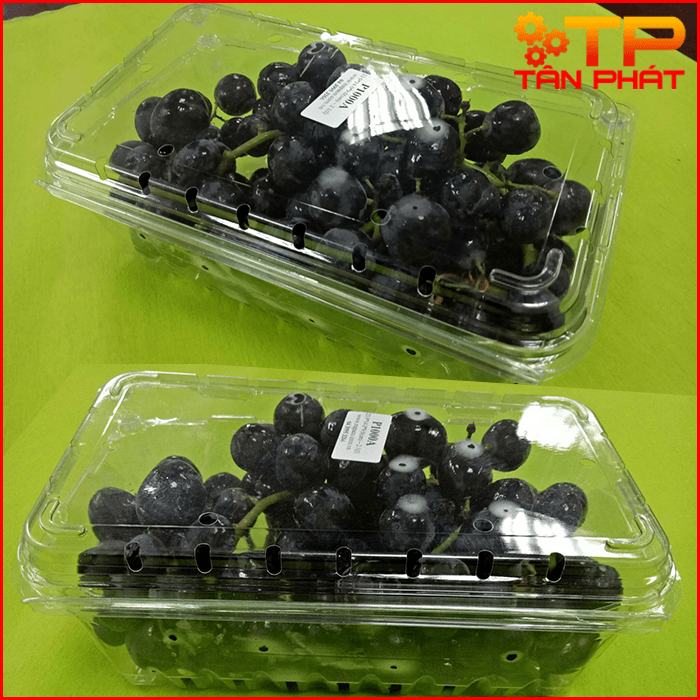 Hộp nhựa trong đựng nho