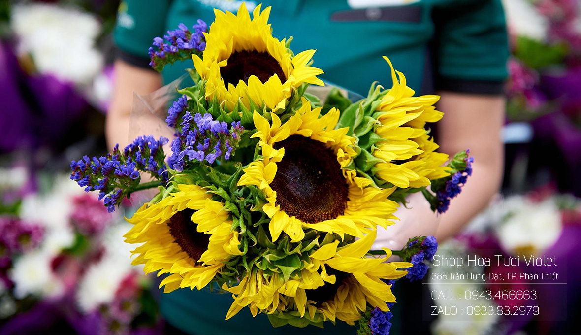 Shop hoa tươi tại phan thiết
